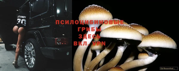 не бодяженный Балахна