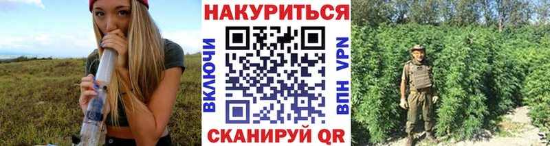 Конопля Bruce Banner  Купить закладки  Кизилюрт 